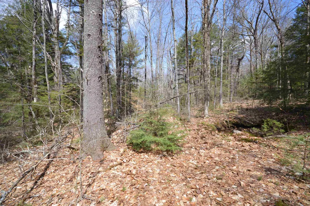Map 20 Lot 13 Beach Pond Road Wolfeboro NH 03894