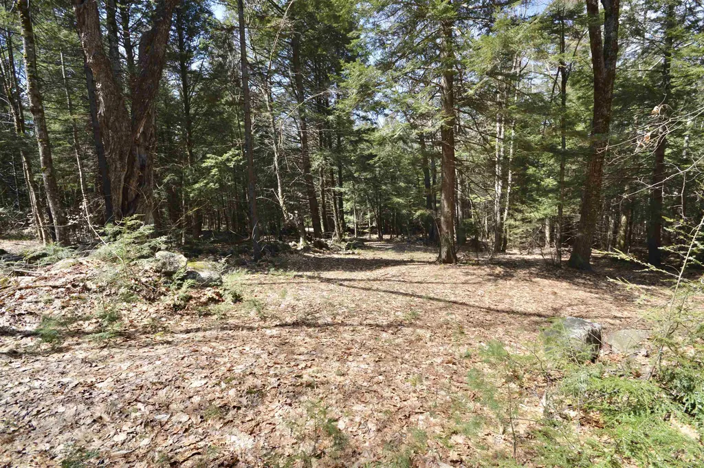 Map 20 Lot 13 Beach Pond Road Wolfeboro NH 03894