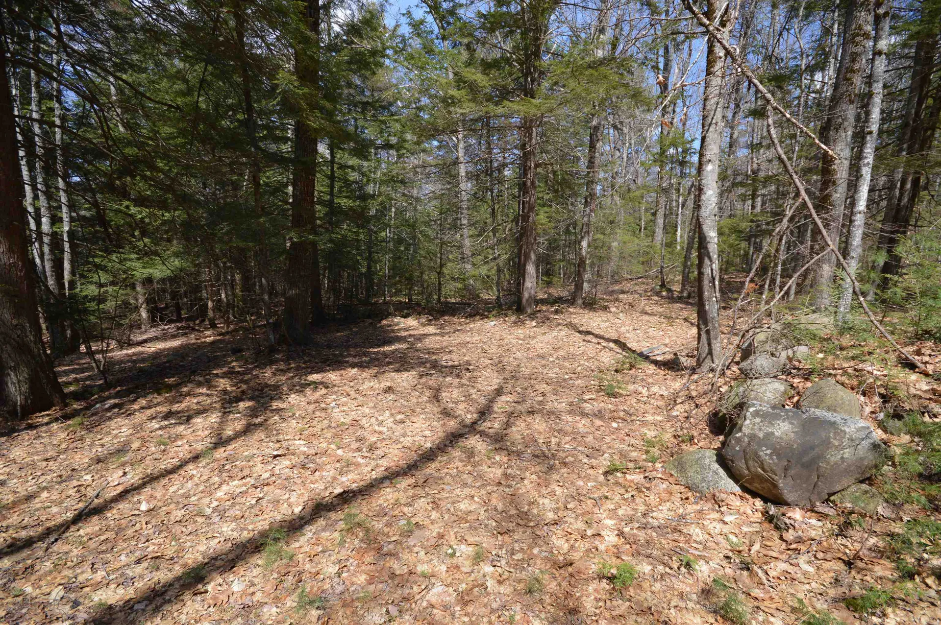 Map 20 Lot 13 Beach Pond Road Wolfeboro NH 03894