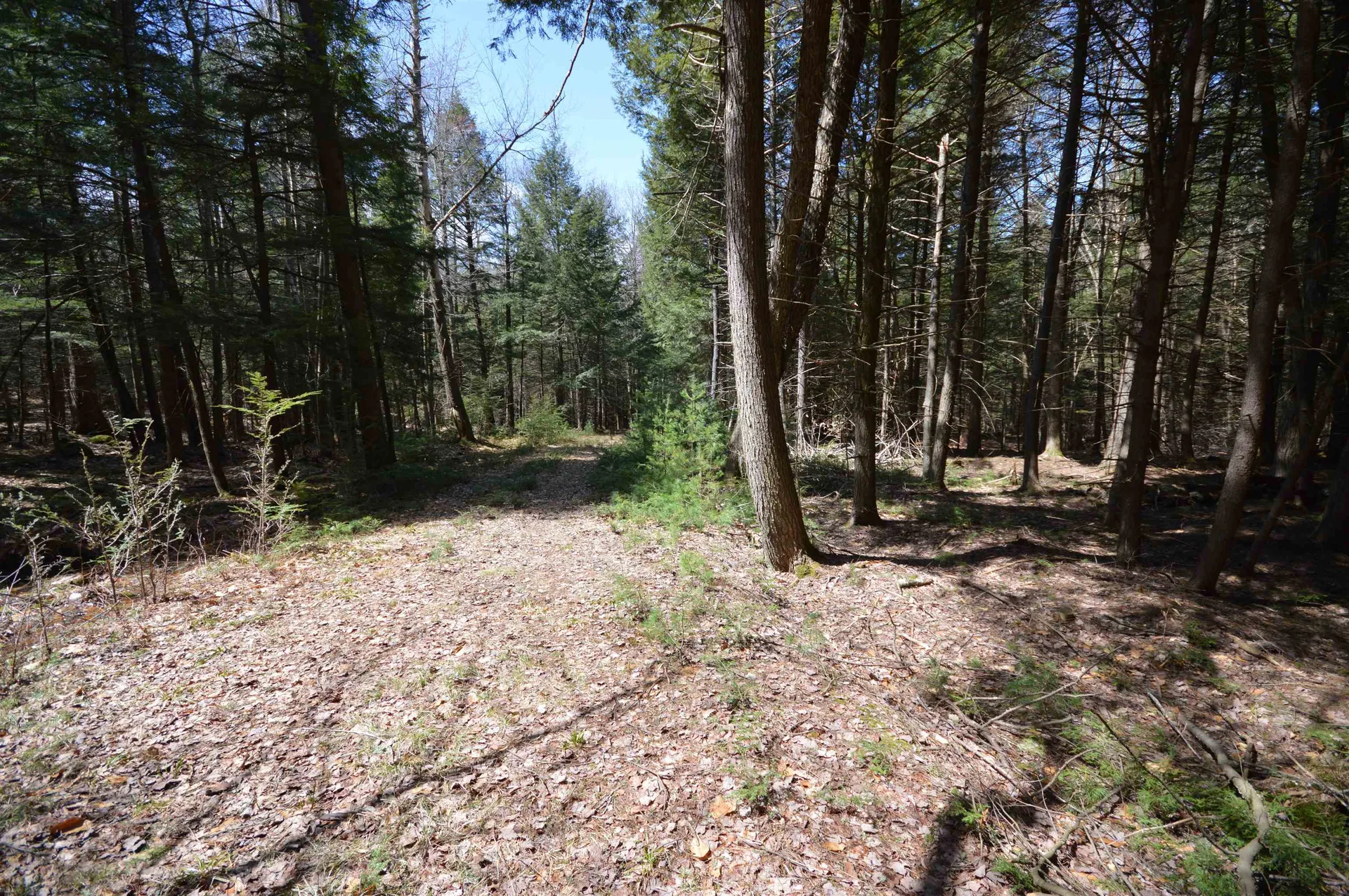 Map 20 Lot 13 Beach Pond Road Wolfeboro NH 03894