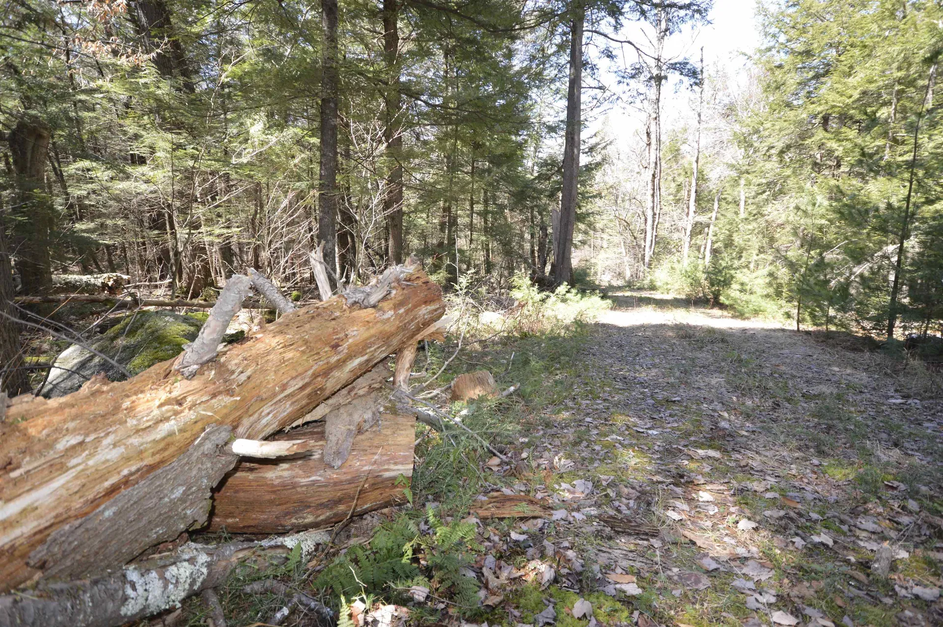 Map 20 Lot 13 Beach Pond Road Wolfeboro NH 03894