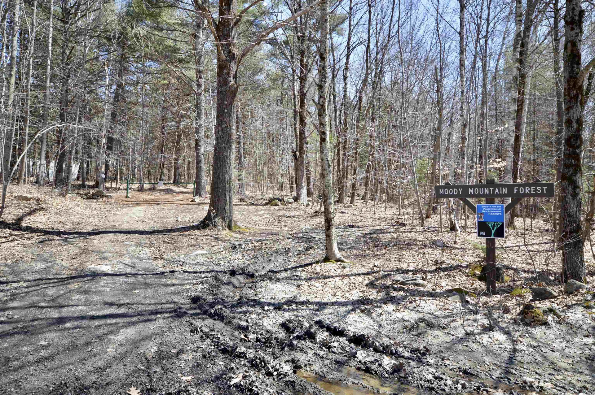 Map 20 Lot 13 Beach Pond Road Wolfeboro NH 03894