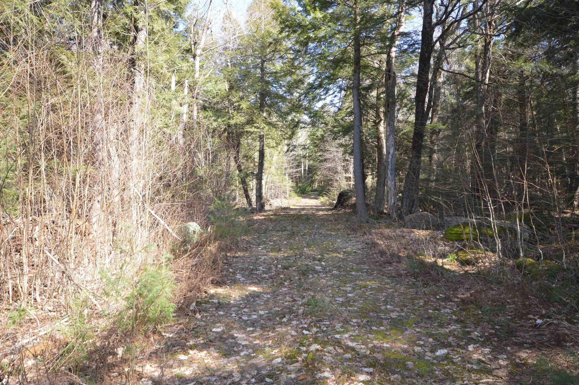 Map 20 Lot 13 Beach Pond Road Wolfeboro NH 03894