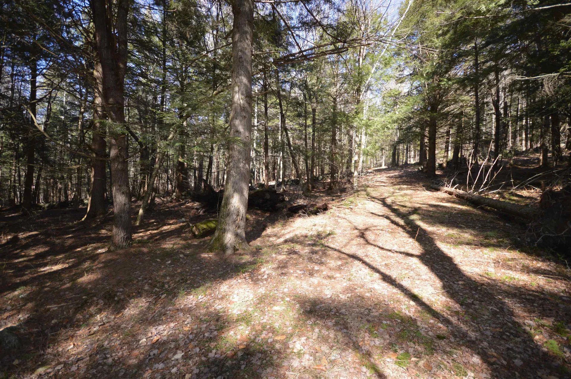 Map 20 Lot 13 Beach Pond Road Wolfeboro NH 03894
