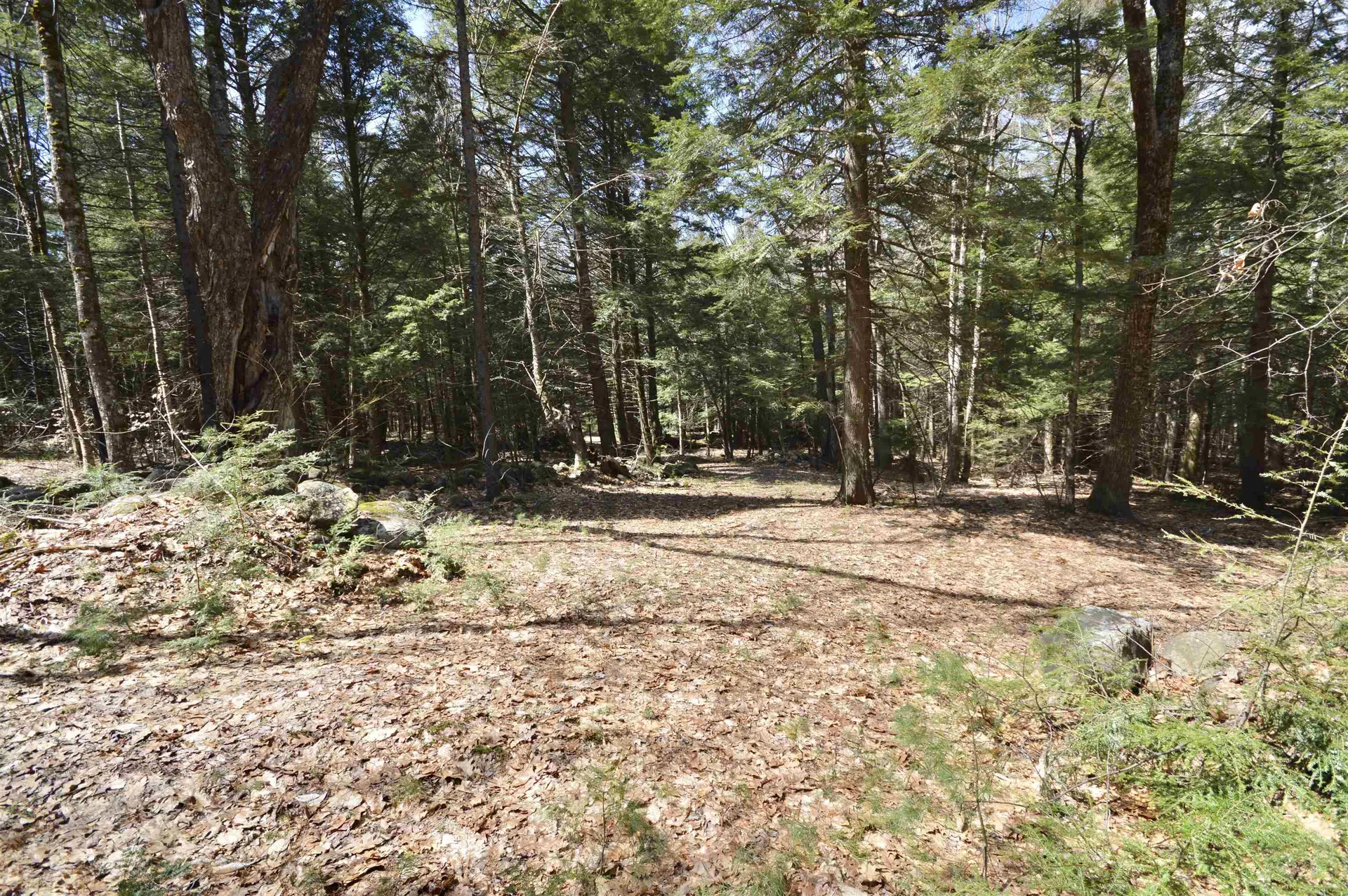 Map 20 Lot 13 Beach Pond Road Wolfeboro NH 03894