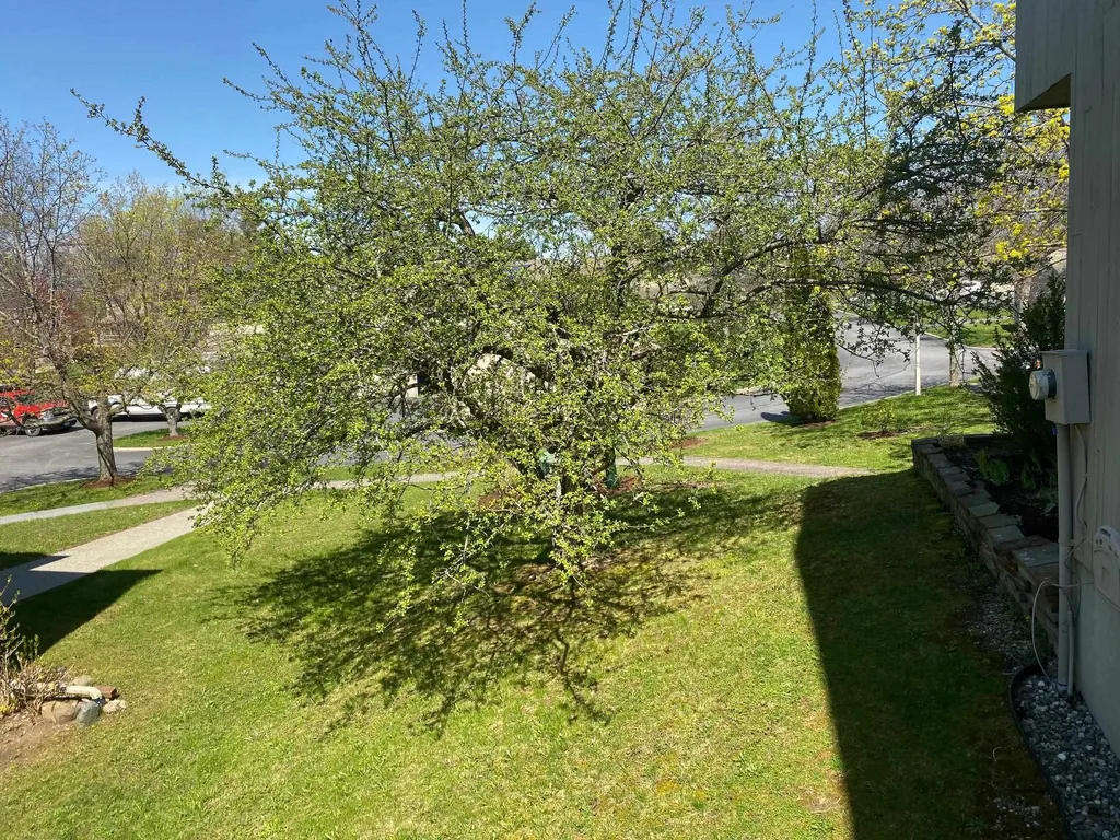 18 Arlington Green South Burlington VT 05403
