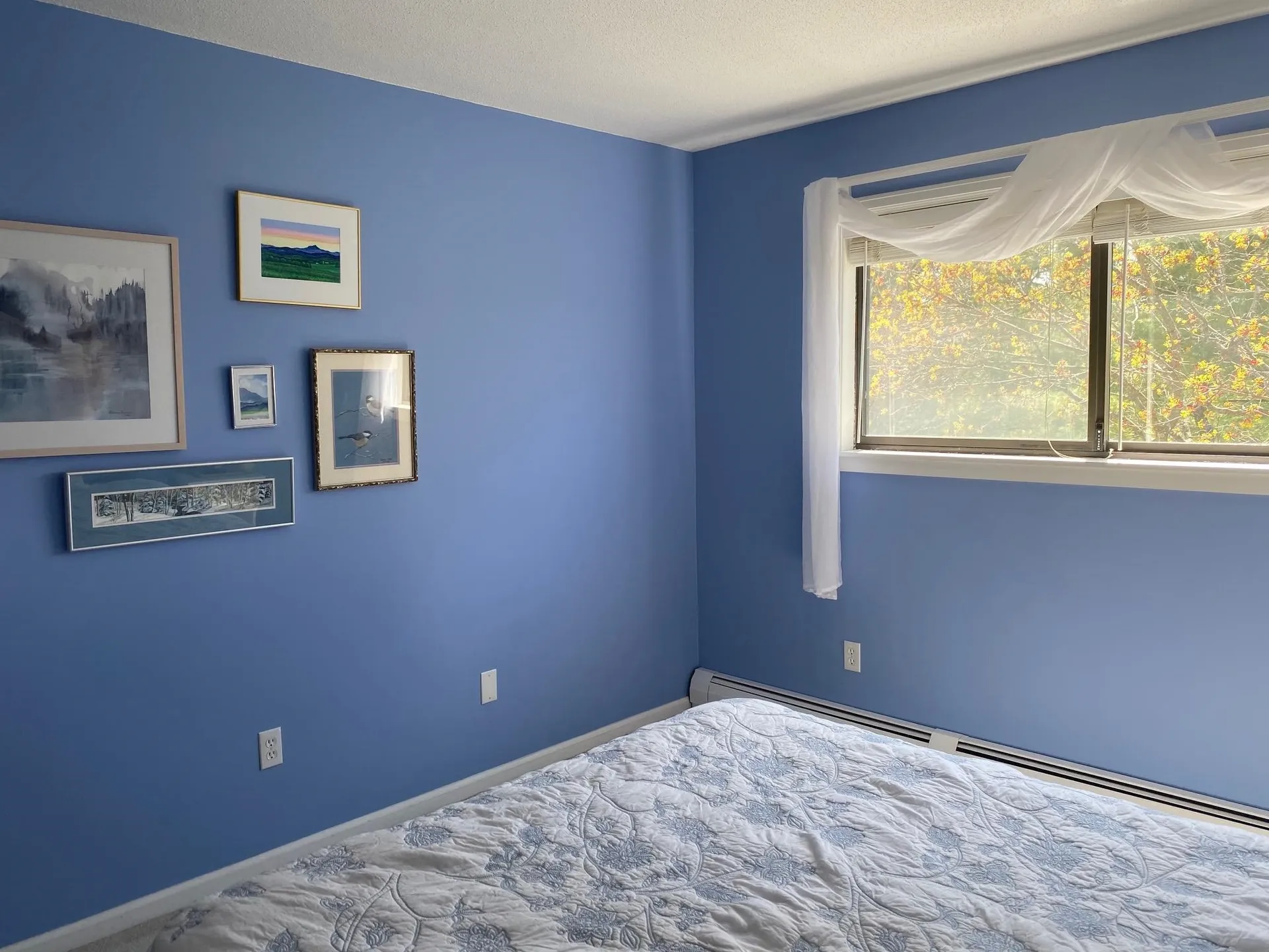 18 Arlington Green South Burlington VT 05403