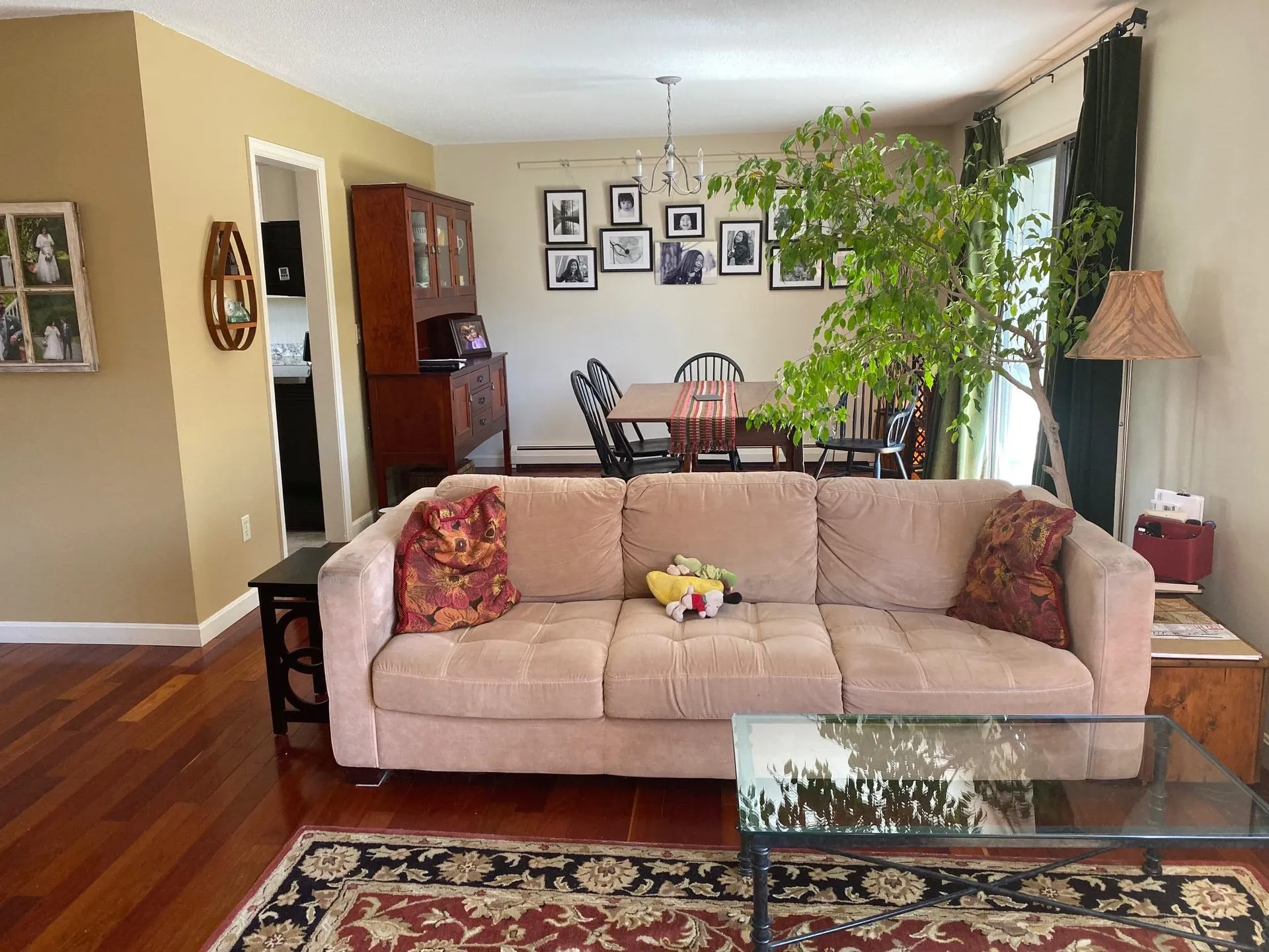 18 Arlington Green South Burlington VT 05403