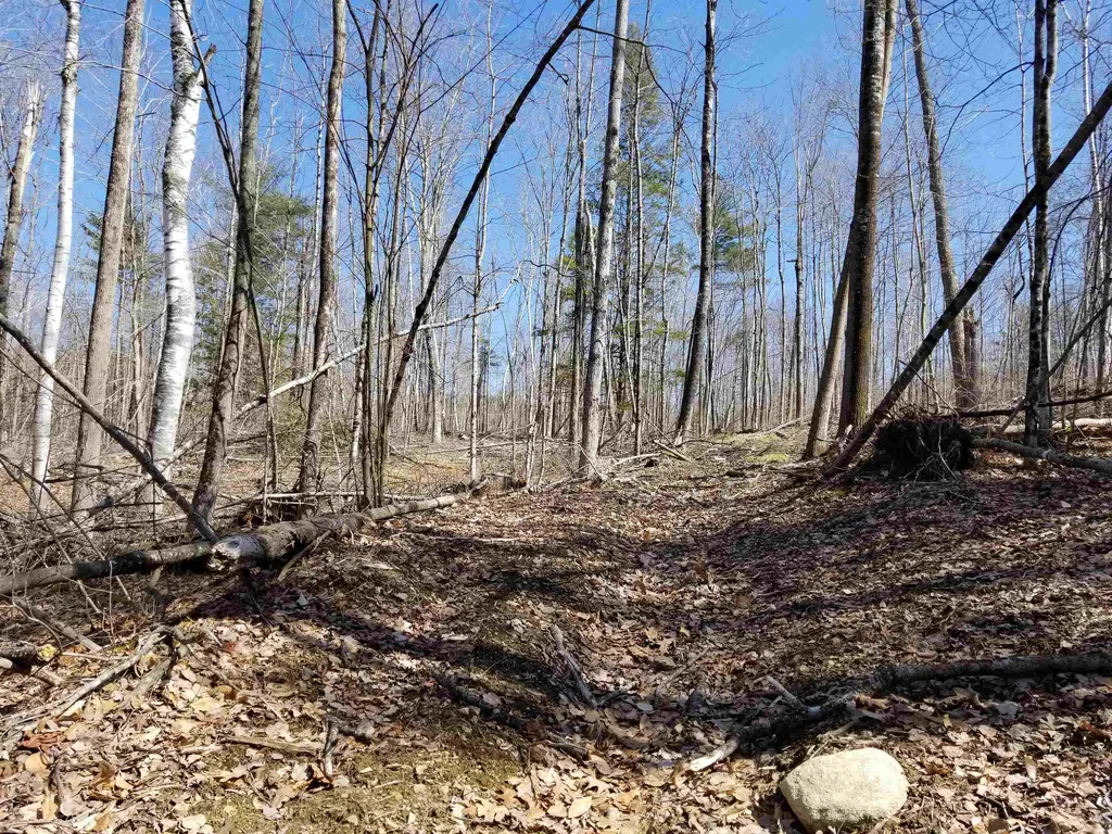 28 Upper Stonehouse Mountain Road Orford NH 03777