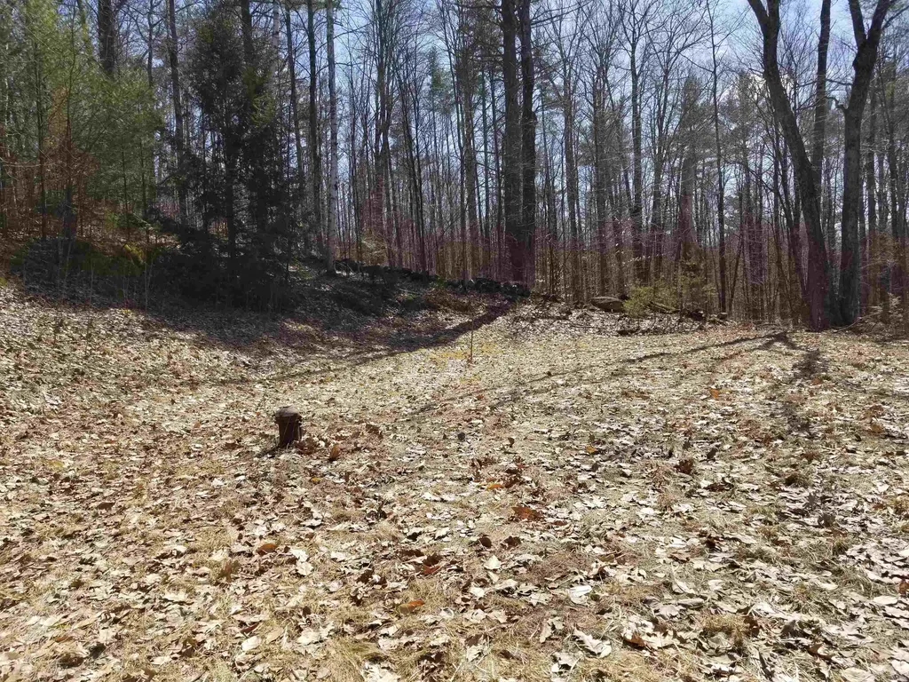 28 Upper Stonehouse Mountain Road Orford NH 03777