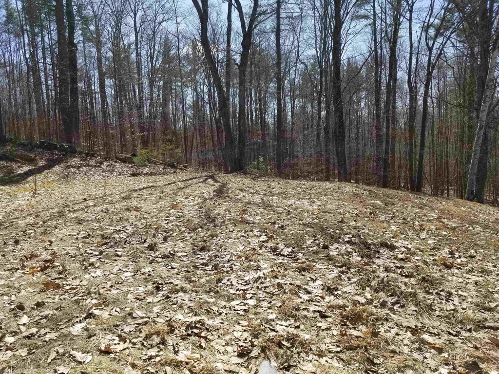28 Upper Stonehouse Mountain Road Orford NH 03777