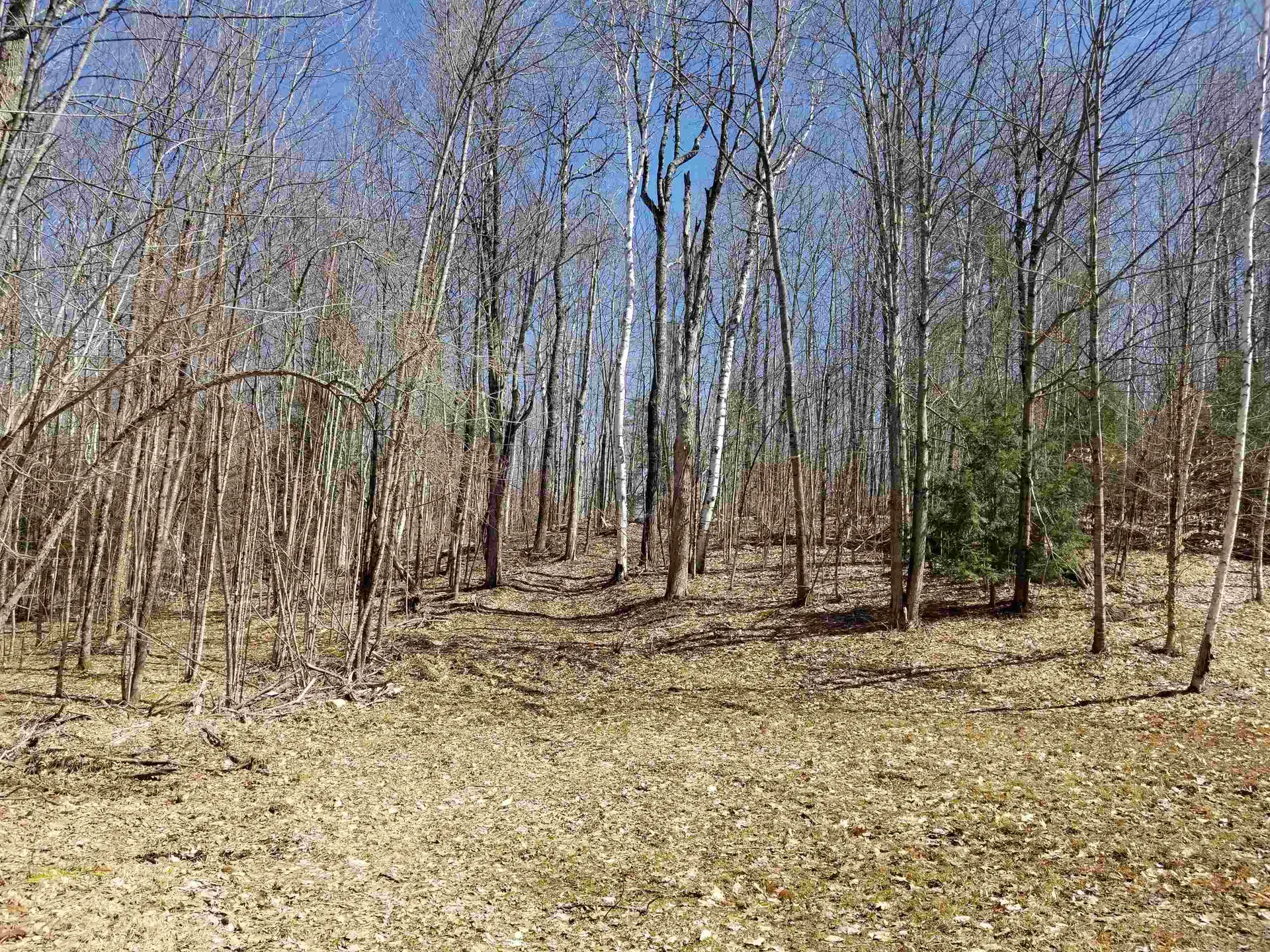 28 Upper Stonehouse Mountain Road Orford NH 03777