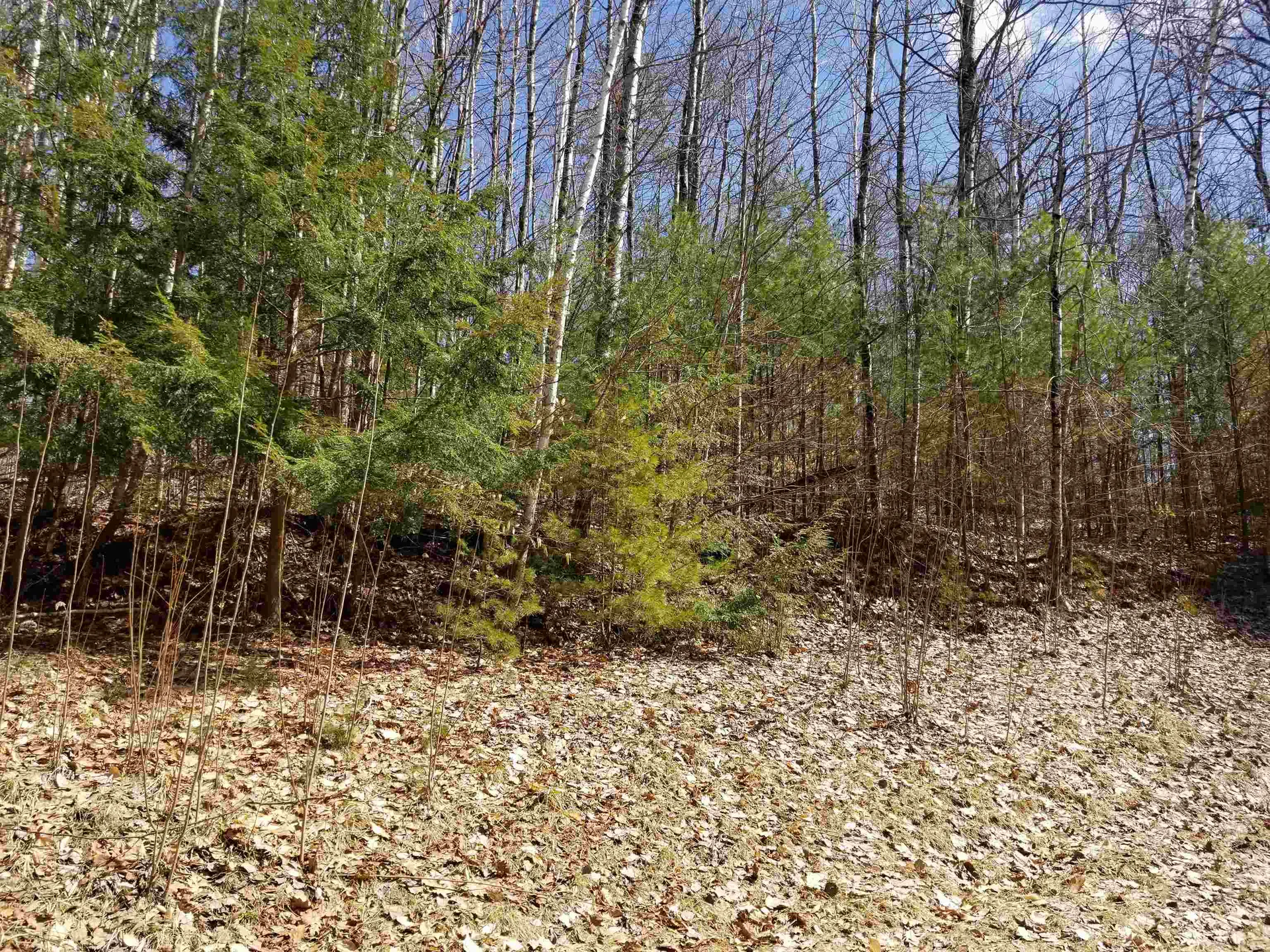 28 Upper Stonehouse Mountain Road Orford NH 03777