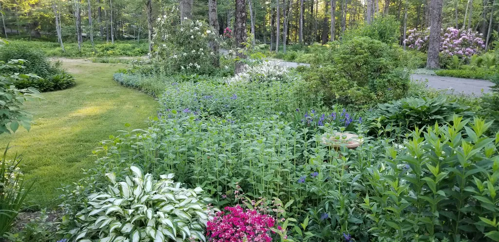 119 Wentworth Road Walpole NH 03608