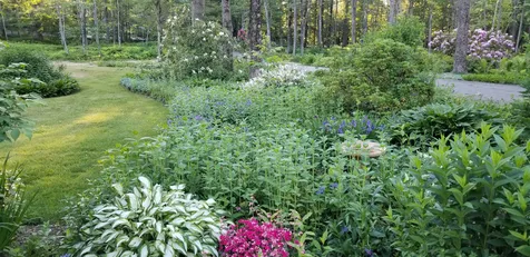 119 Wentworth Road Walpole NH 03608