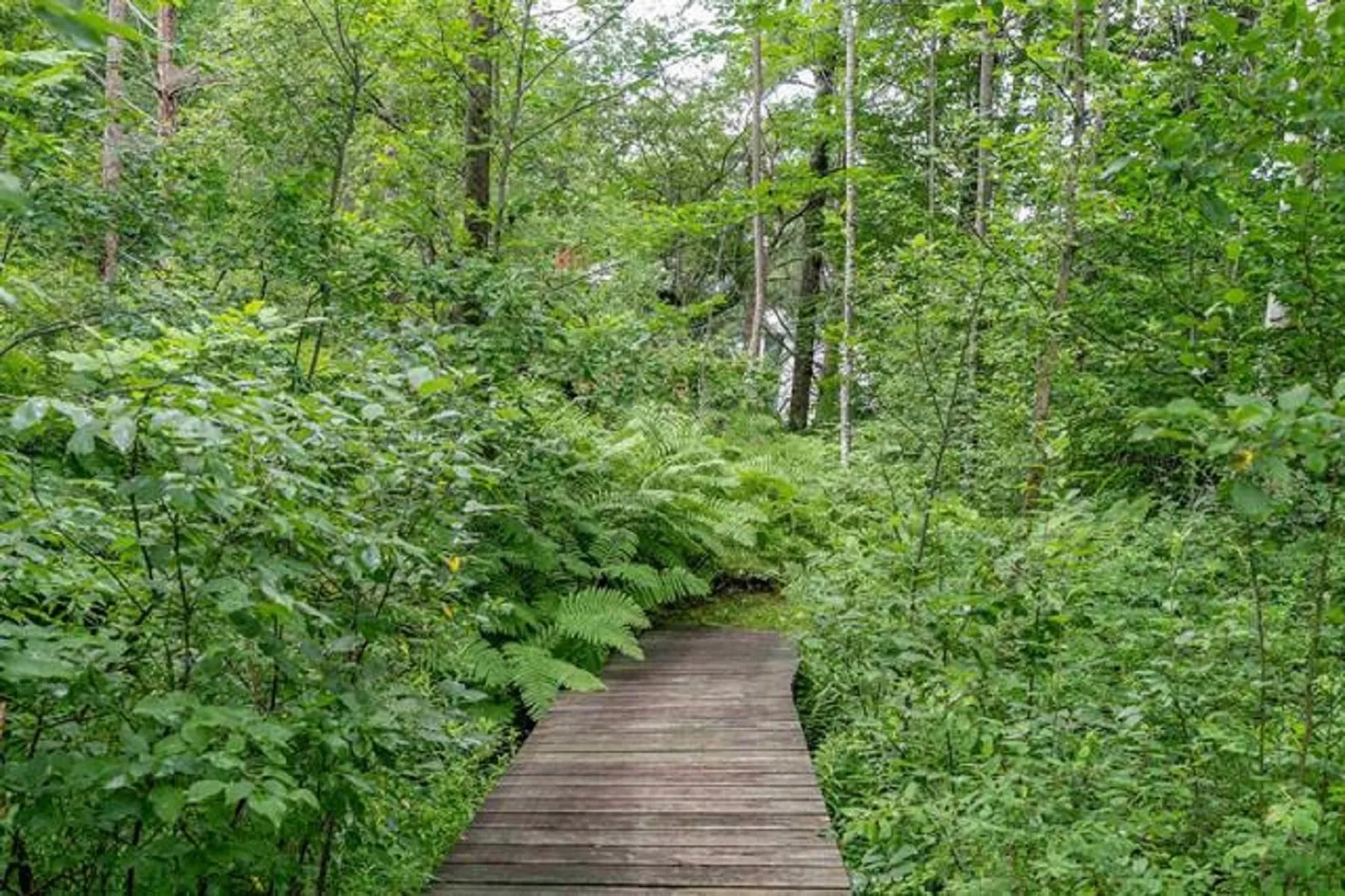 148 East Hill Road Woodstock VT 05071