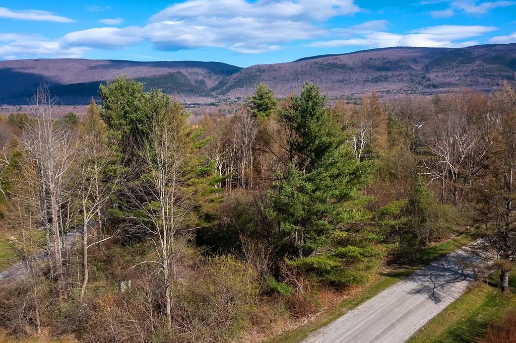 0 Longview Drive Manchester VT 05254