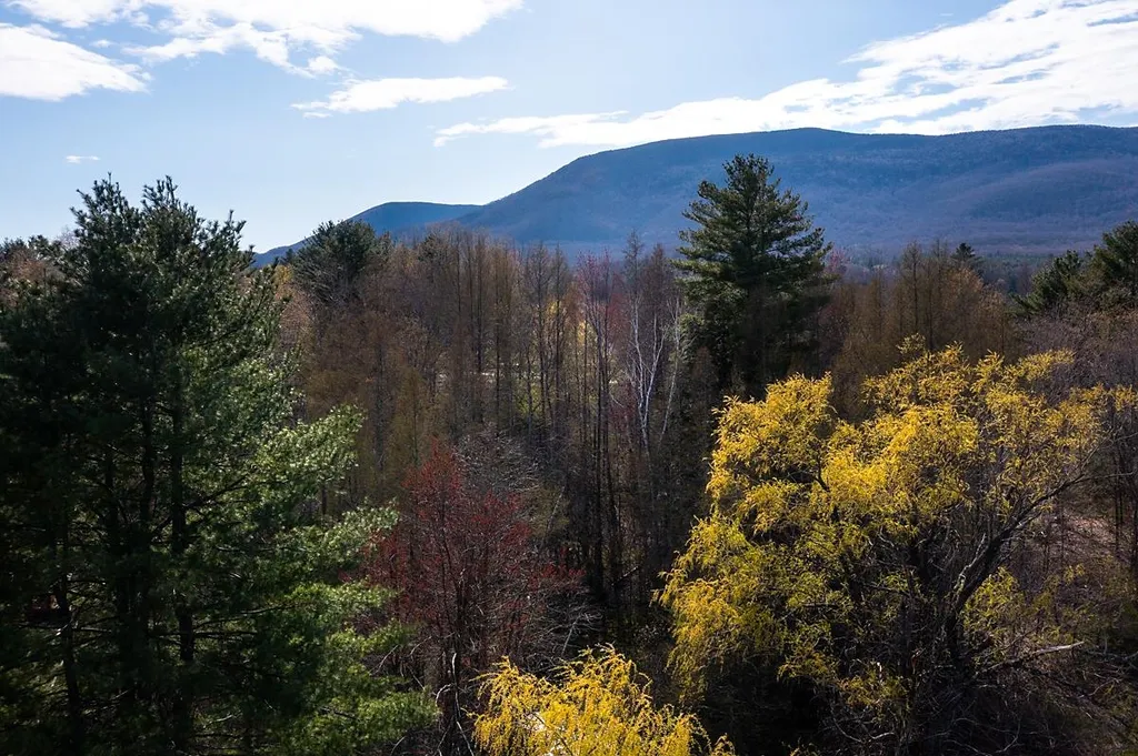 0 Longview Drive Manchester VT 05254