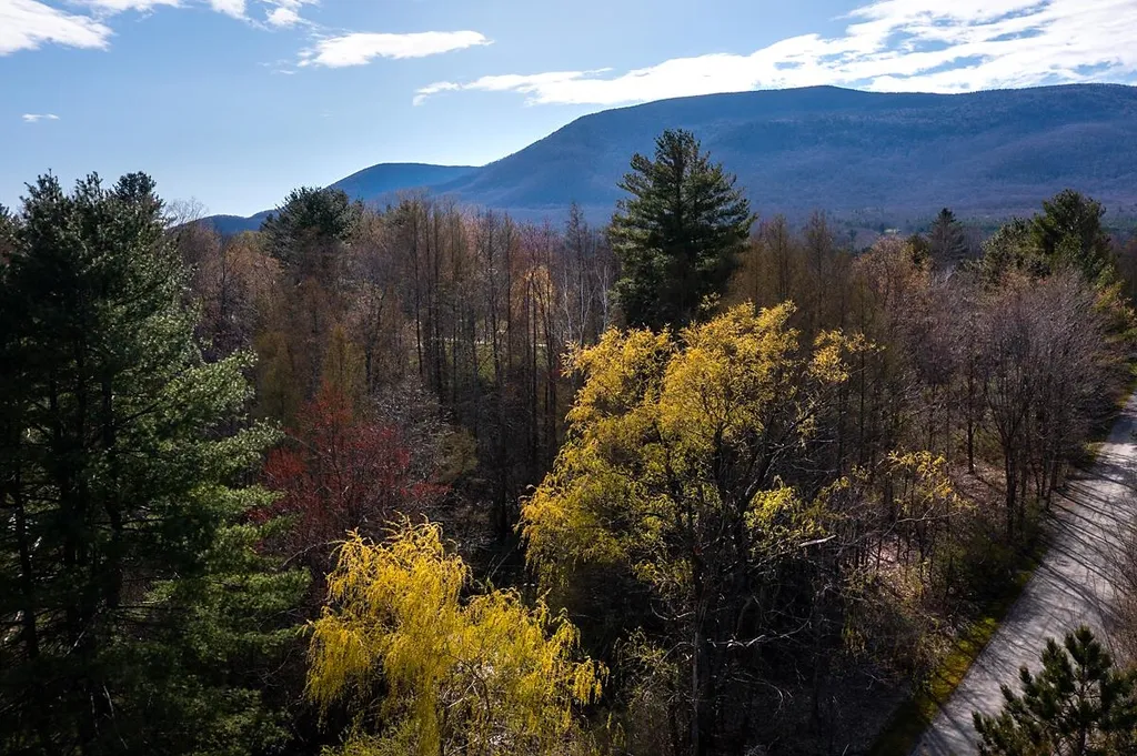 0 Longview Drive Manchester VT 05254