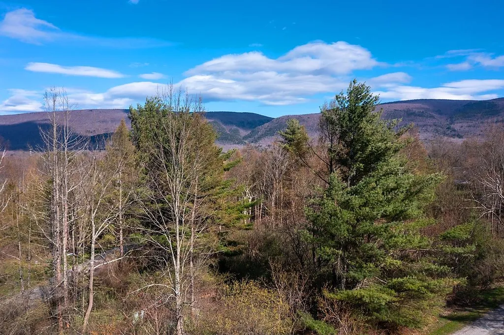 0 Longview Drive Manchester VT 05254