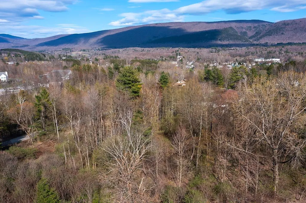 0 Longview Drive Manchester VT 05254