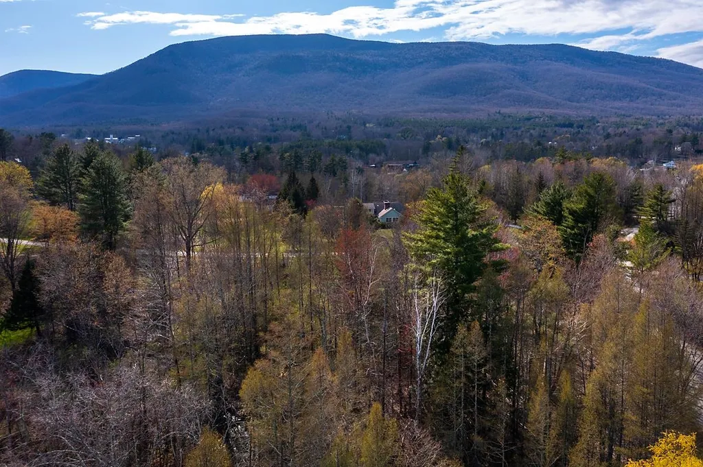 0 Longview Drive Manchester VT 05254