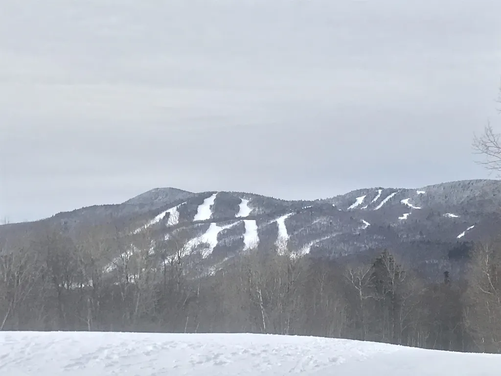 15 Frog Hollow Wilmington VT 05363