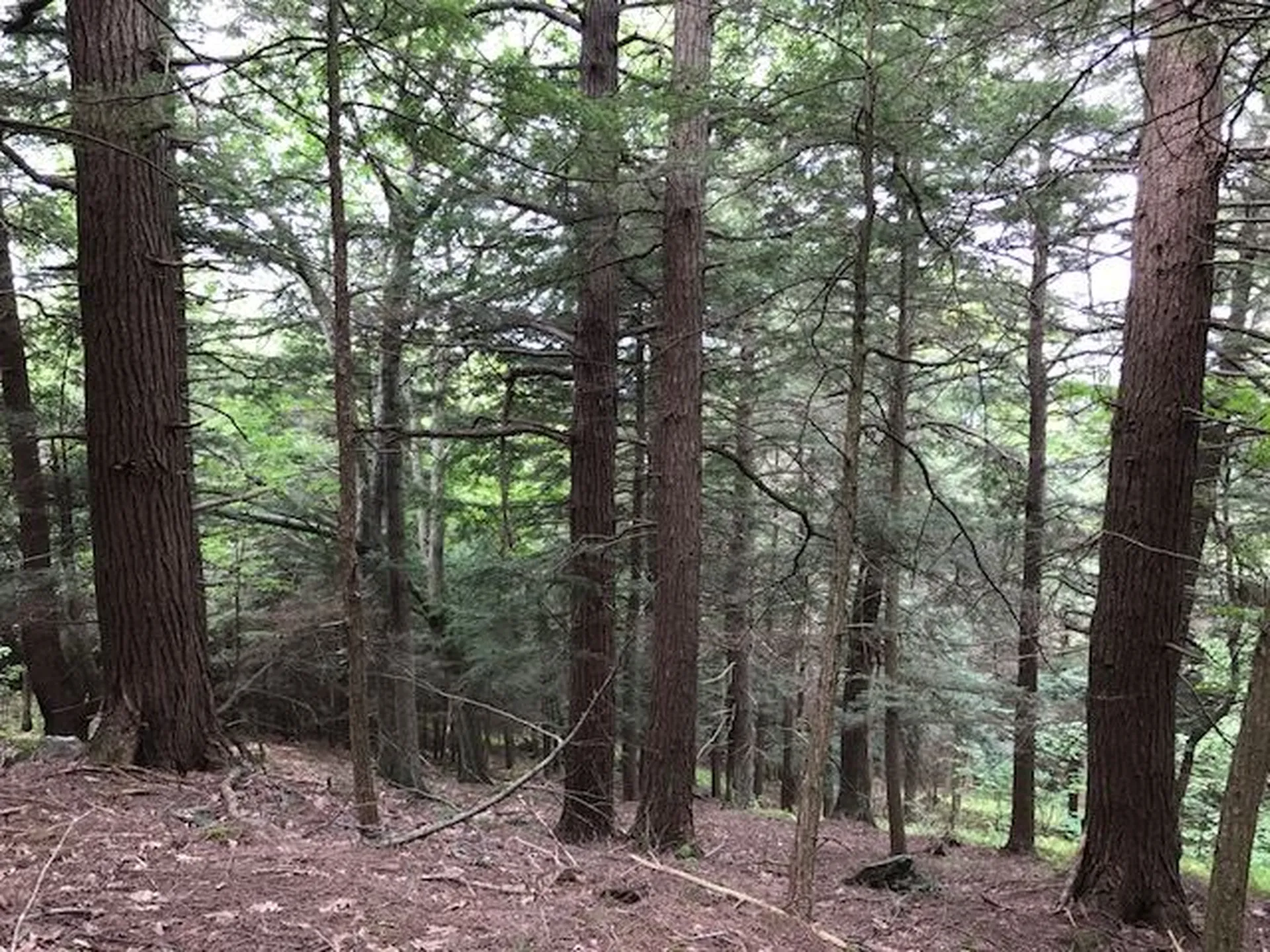 211 Wood Road Hartford VT 05059