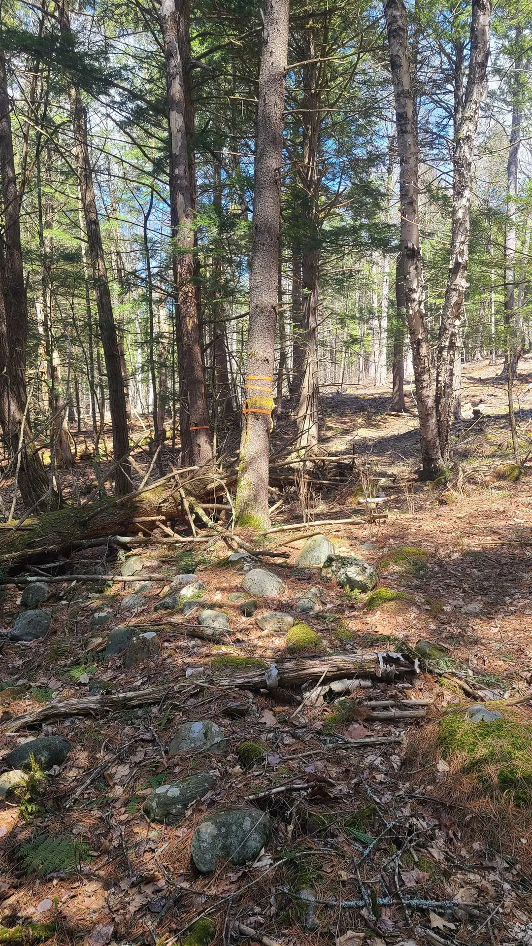 0 Strand Road Claremont NH 03743