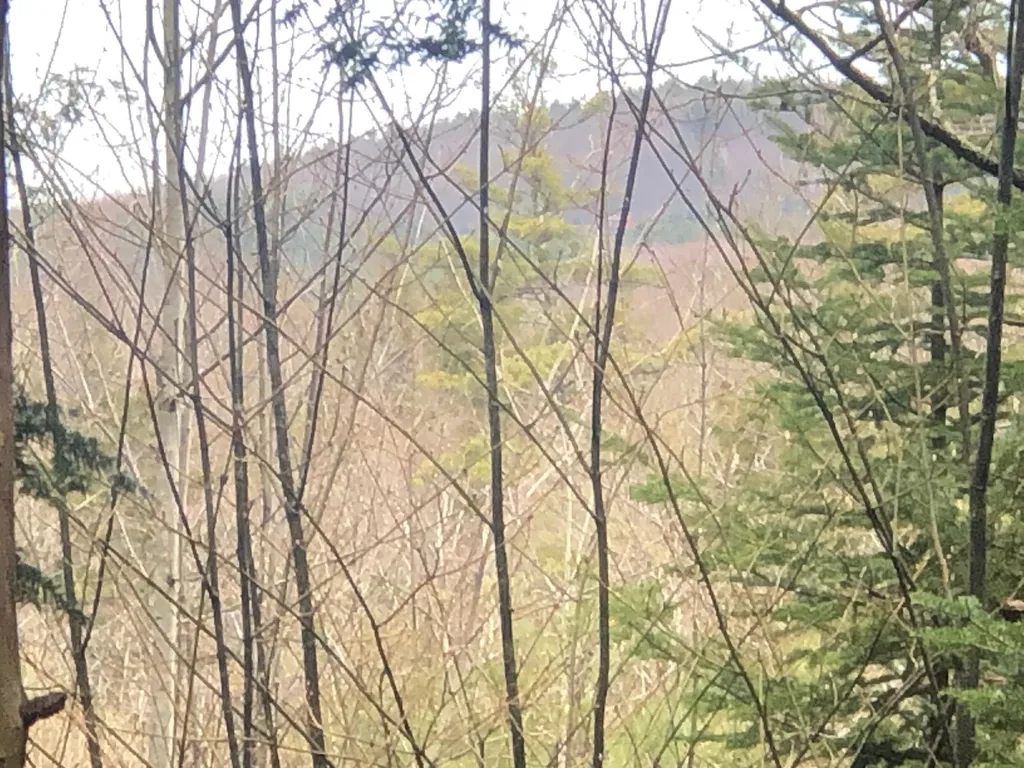 00 Wild Ammonoosuc Road Haverhill NH 03774