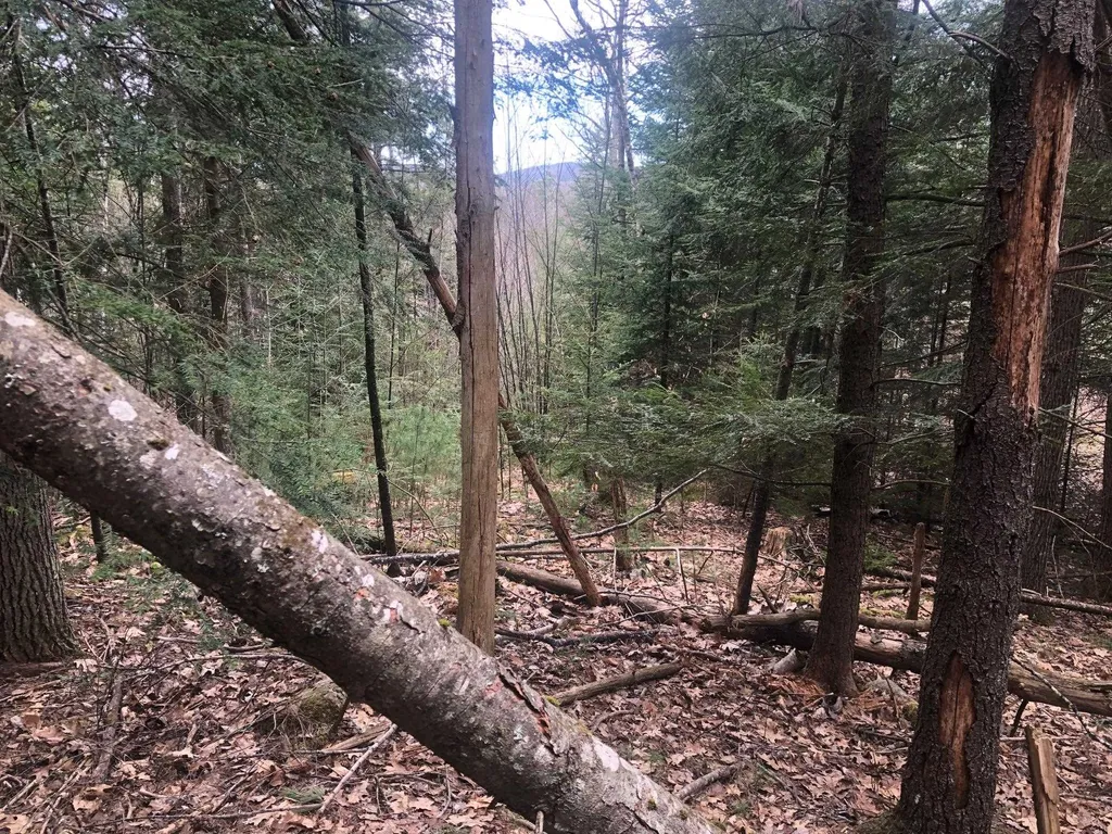 00 Wild Ammonoosuc Road Haverhill NH 03774