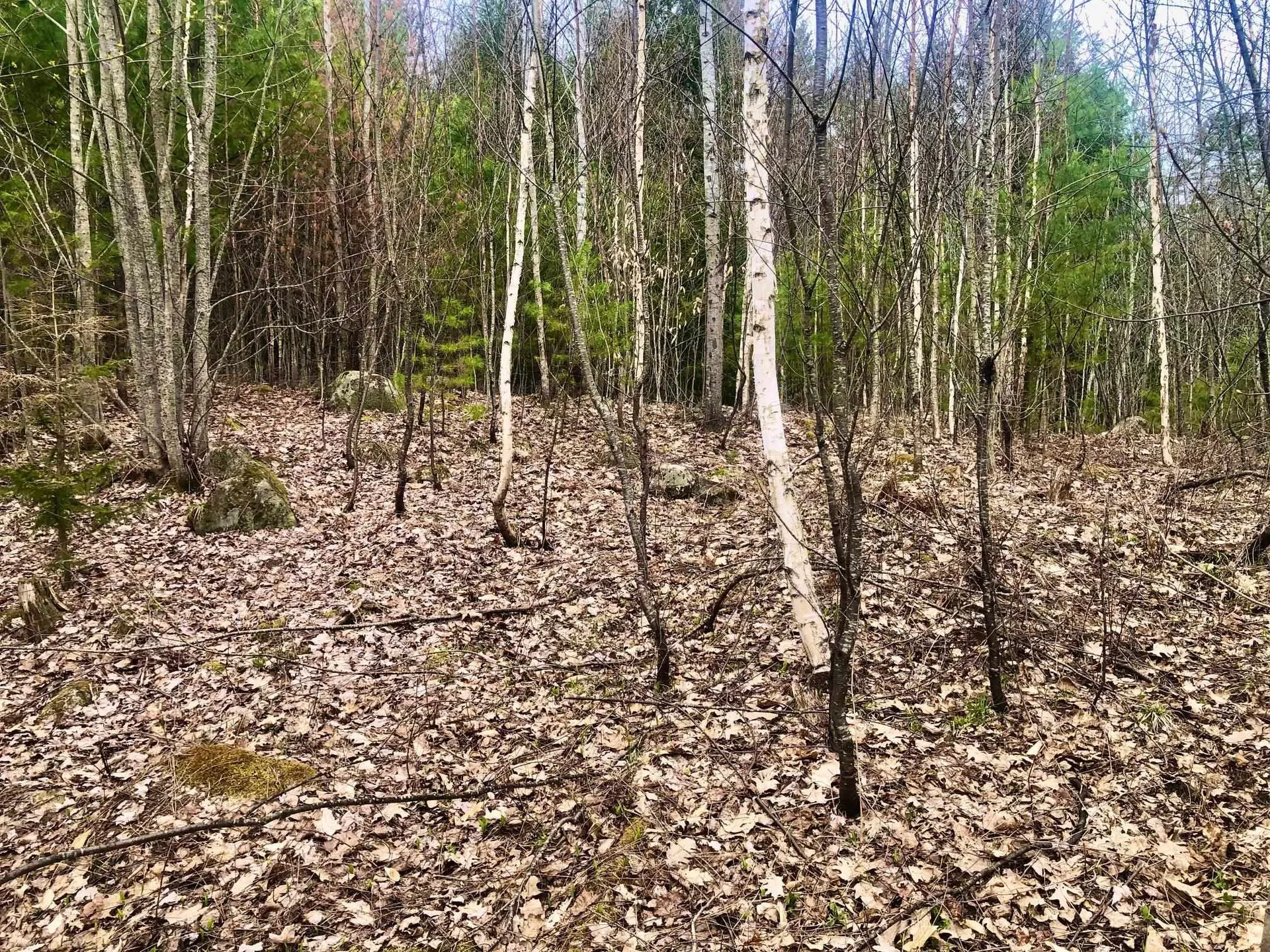 00 Wild Ammonoosuc Road Haverhill NH 03774