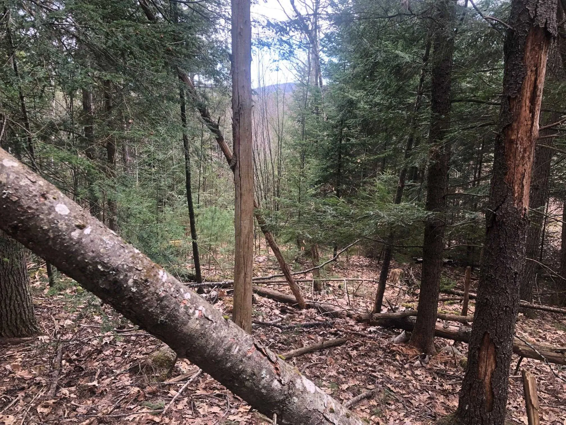 00 Wild Ammonoosuc Road Haverhill NH 03774