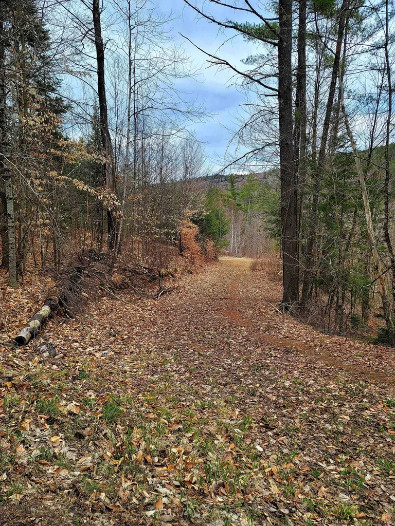 250 Goodfellow Road Groton VT 05046