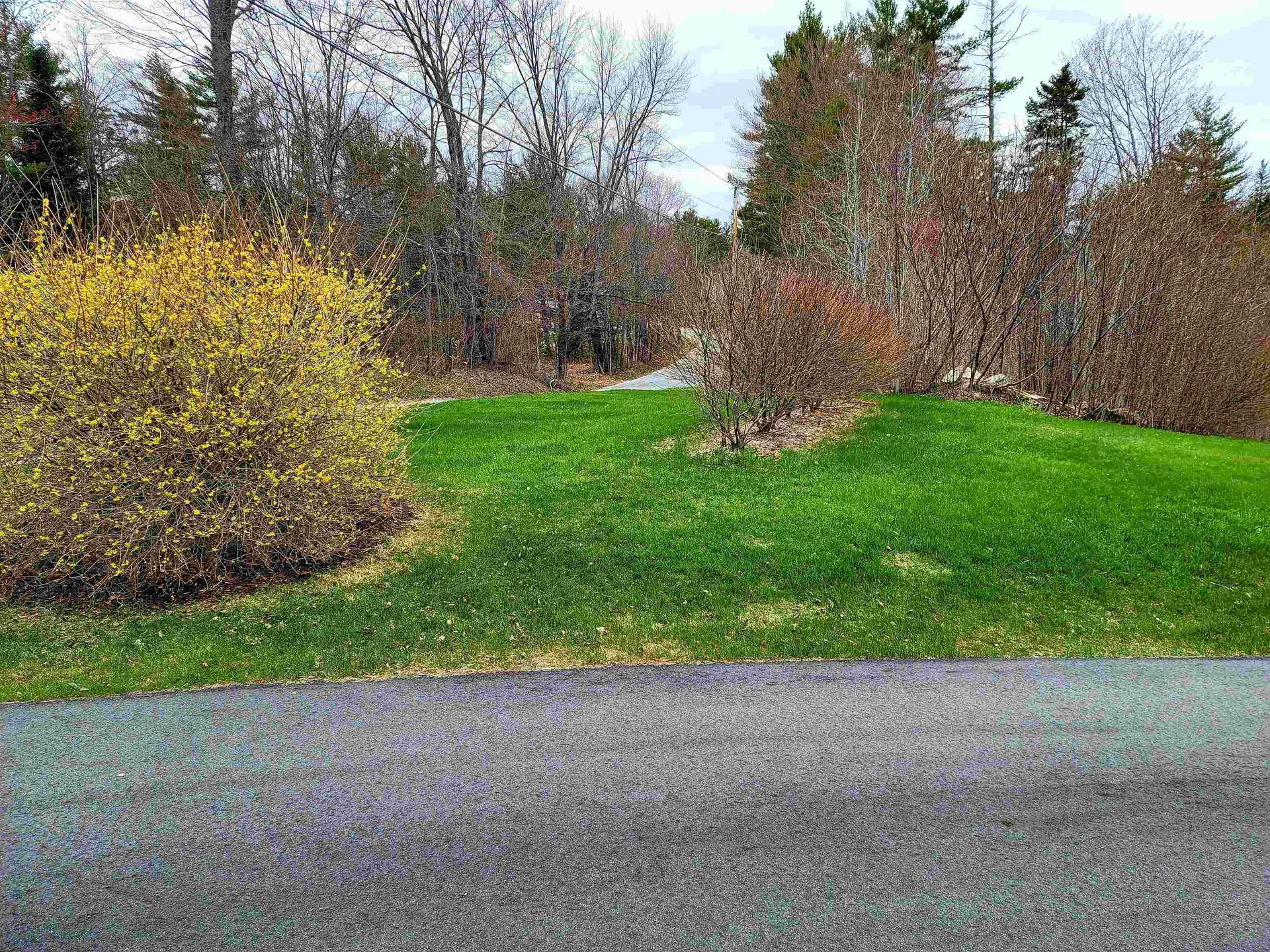 250 Goodfellow Road Groton VT 05046