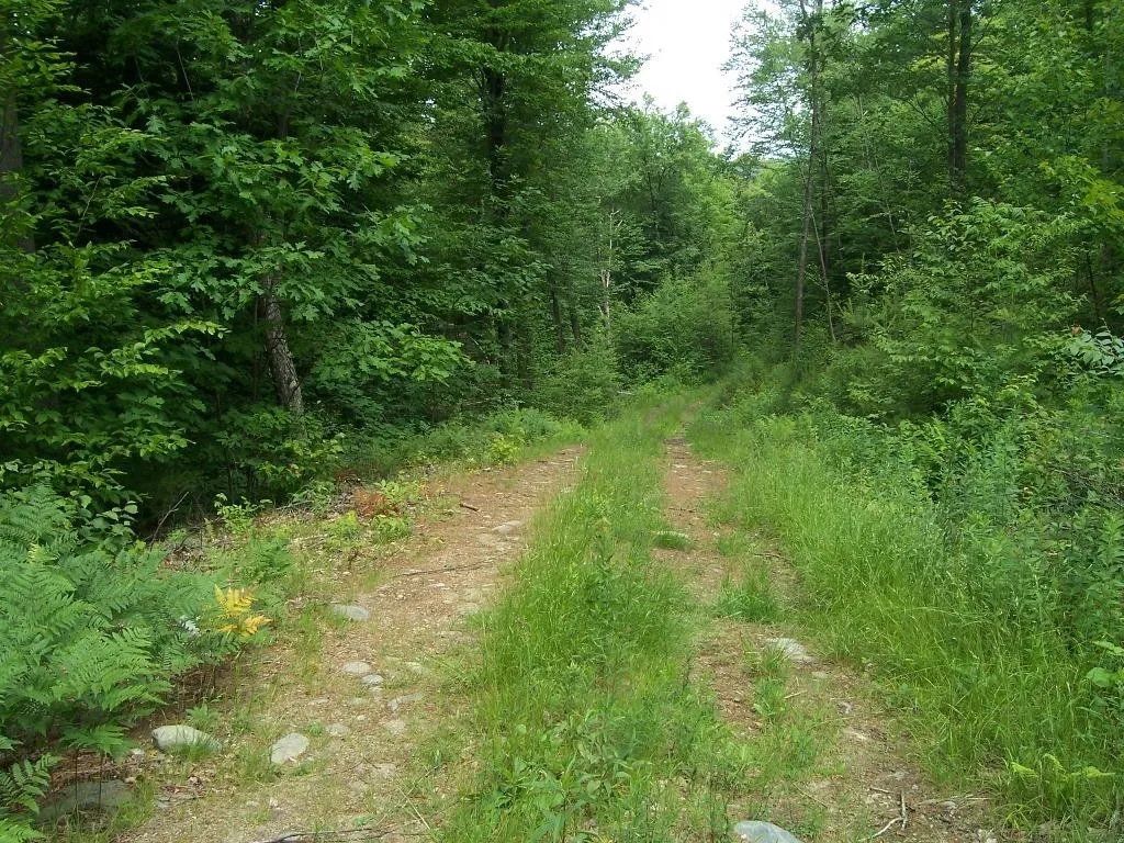 0 Cat Hole Road Claremont NH 03743