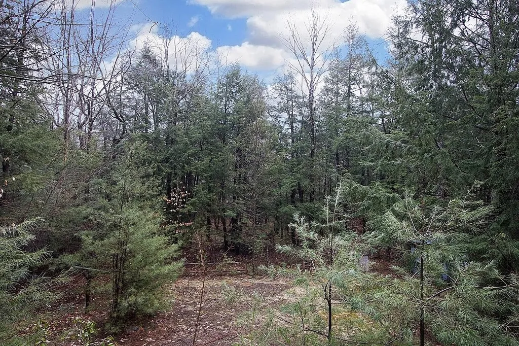 62 Trask Side Road Alton NH 03810