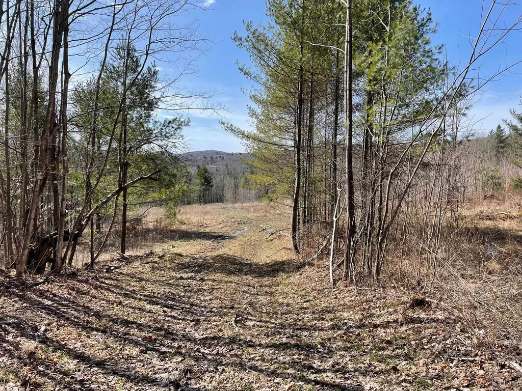 Route 113 Vershire VT 05079