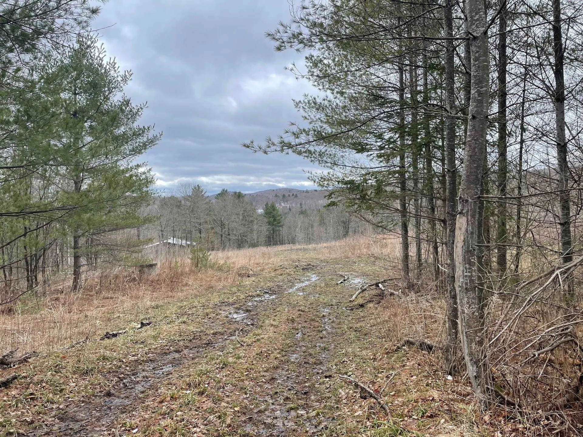 Route 113 Vershire VT 05079