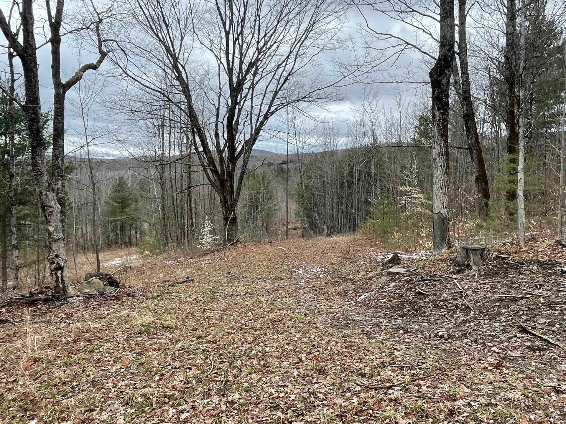 Route 113 Vershire VT 05079