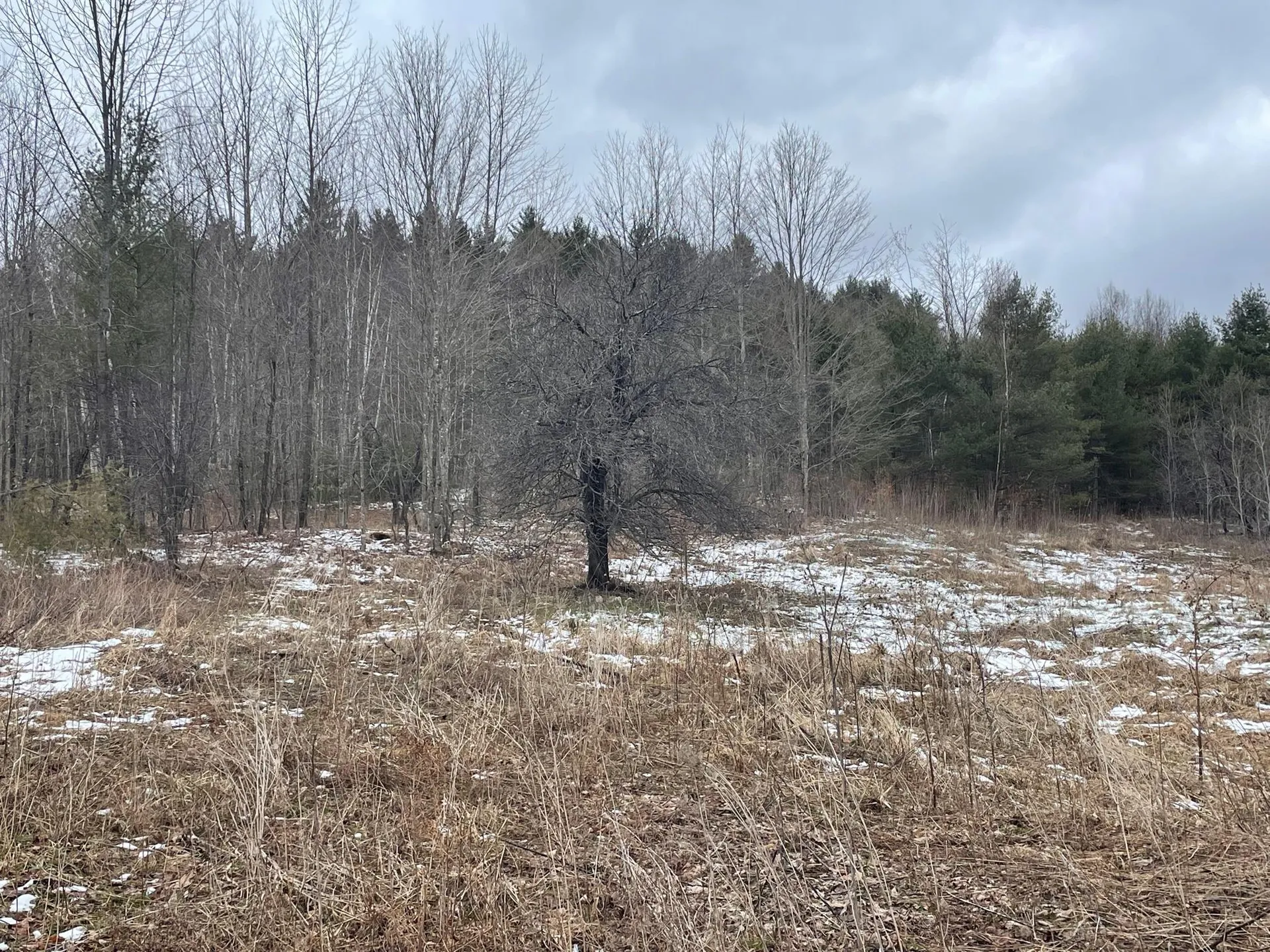 Route 113 Vershire VT 05079