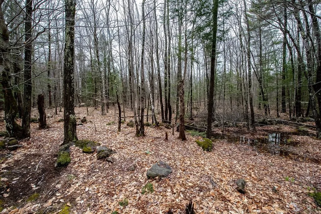 136 Silver Street Middleton NH 03887