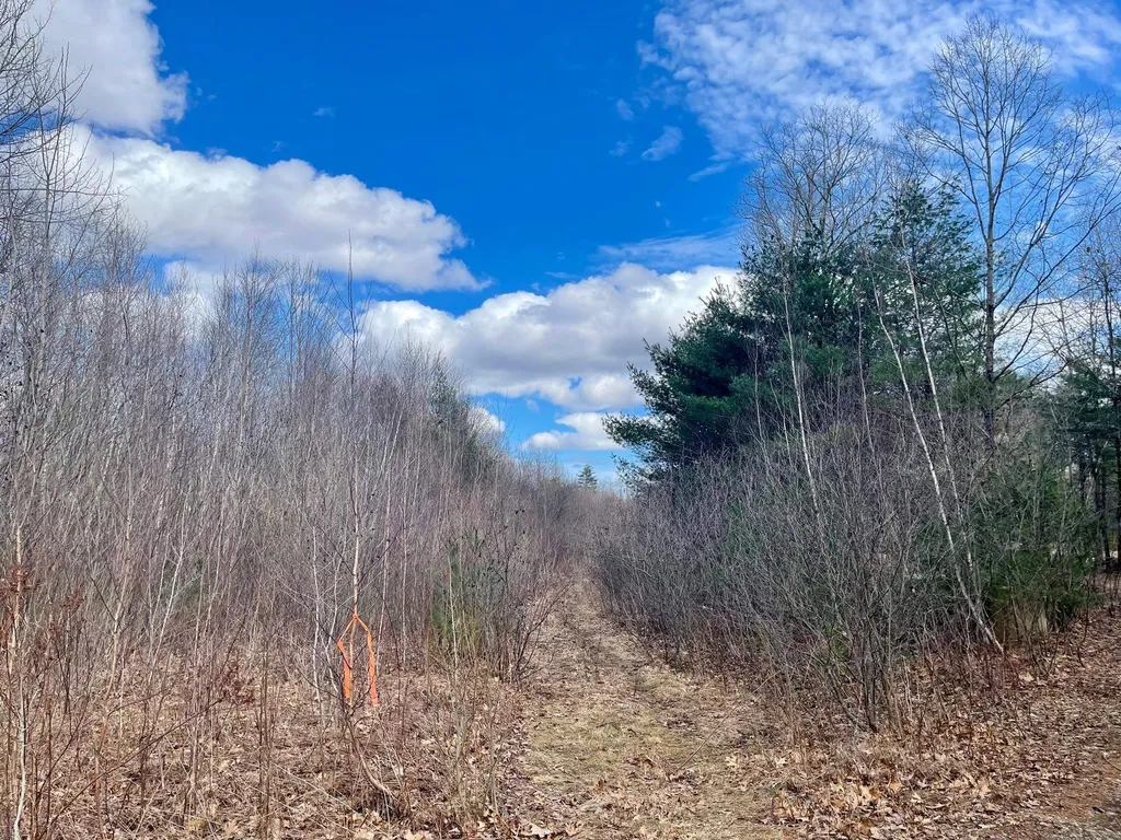 9 Bowley Road East Kingston NH 03827