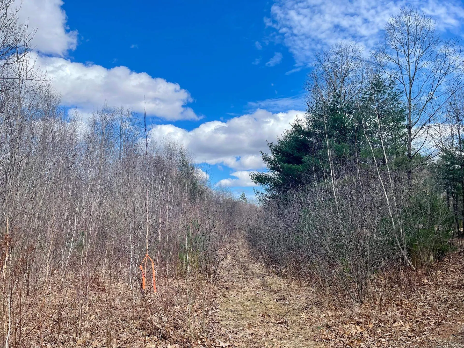 9 Bowley Road East Kingston NH 03827