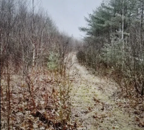 9 Bowley Road East Kingston NH 03827