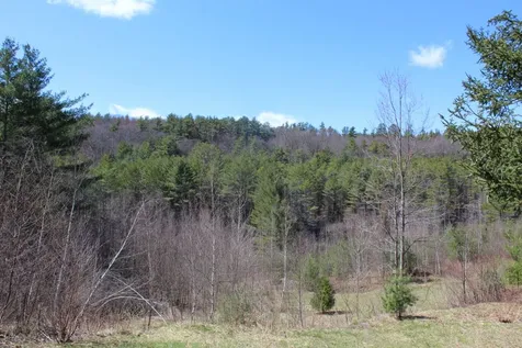 823 Randall Hill Road Springfield VT 05156