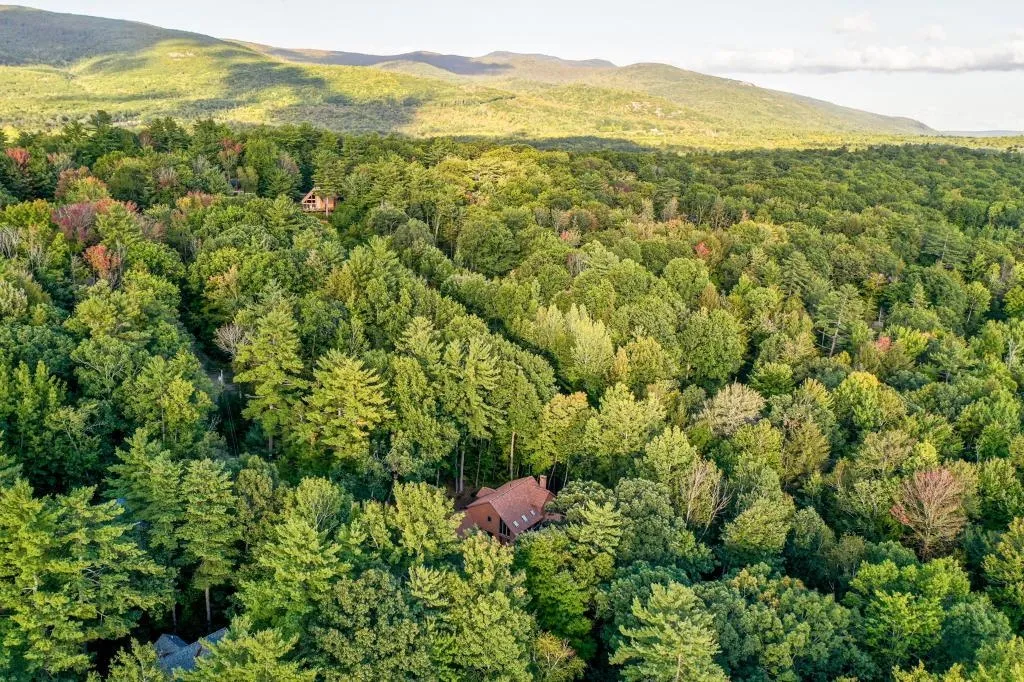 31 Paglia Street Moultonborough NH 03254