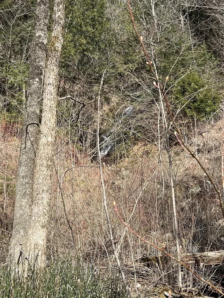 0 Peavine Boulevard Bethel VT 05032