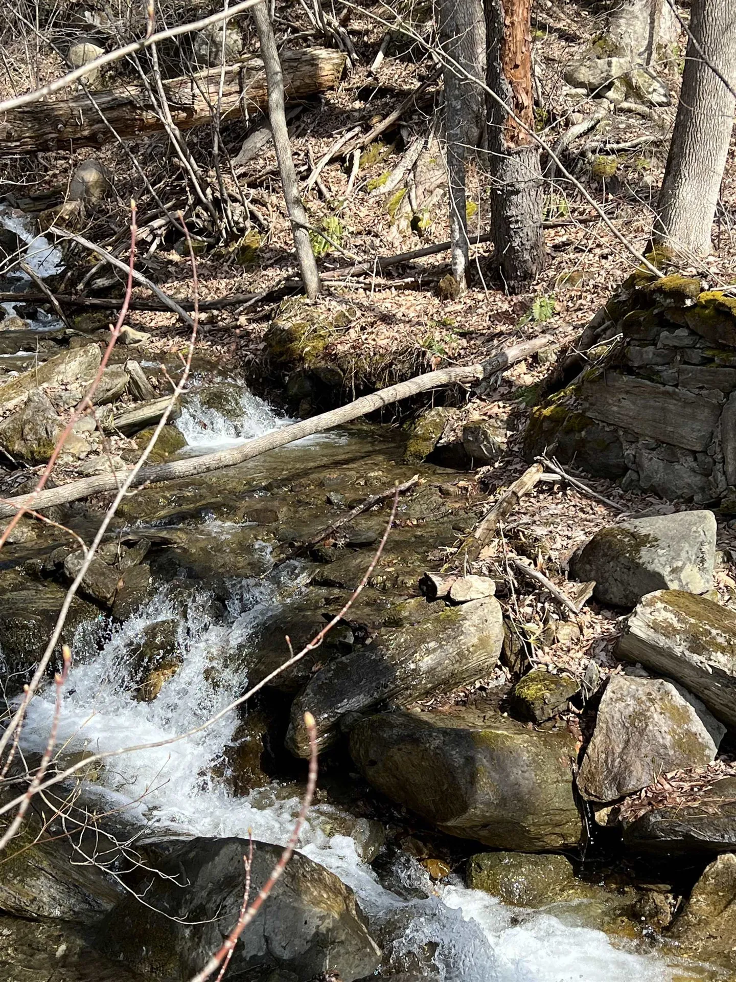 0 Peavine Boulevard Bethel VT 05032