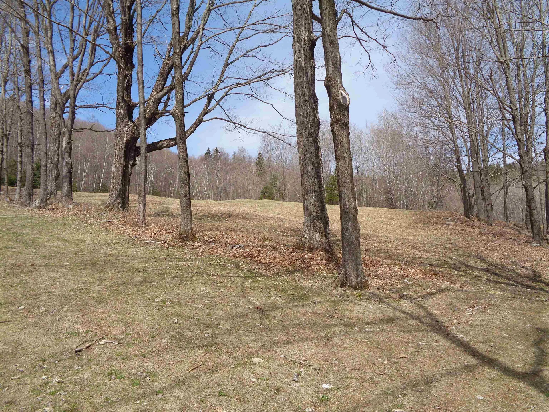 695 North Road Vershire VT 05079